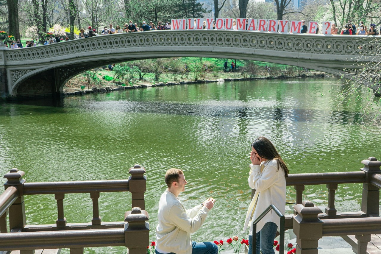 A man kneels, proposing to a surprised woman by a serene lake; a bridge above displays