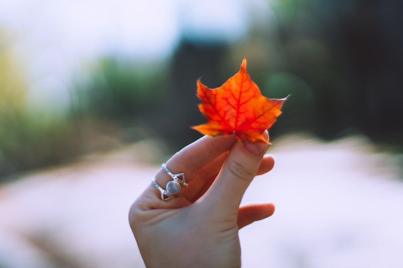 a woman wearing a fashion ring and holding an autumn leaf