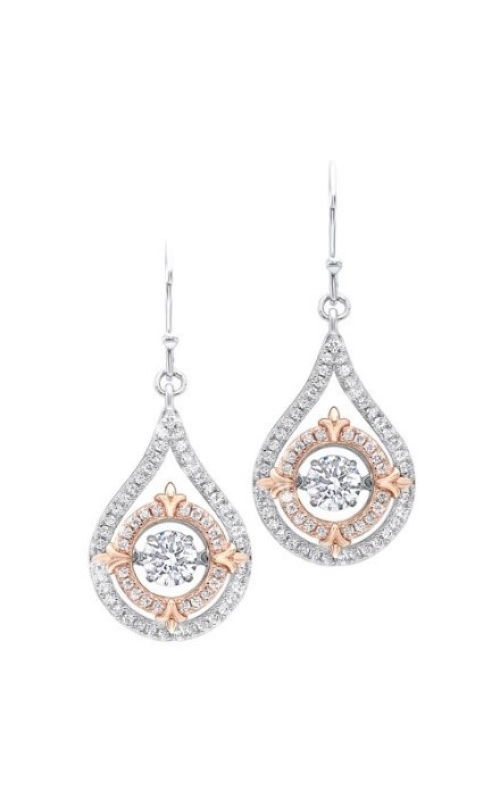 Rottermond Signature Earrings  ER10153-SS