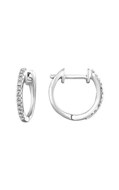 Rottermond Signature Earrings  ER10536-1WD