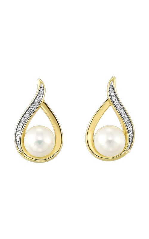 Rottermond Signature Earrings  ER10868-4YSCPL