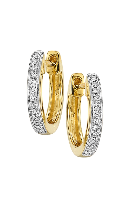 Rottermond Signature Earrings  ER10992-4YB