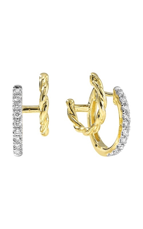 Rottermond Signature Earrings  ER11198-4YC