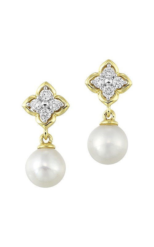 Rottermond Signature Earrings  ER11254-4YCPL