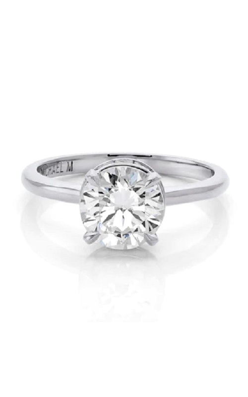 Michael M Ring  R811-2