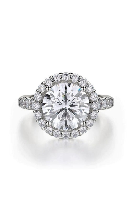 Michael M Ring  R320L-3