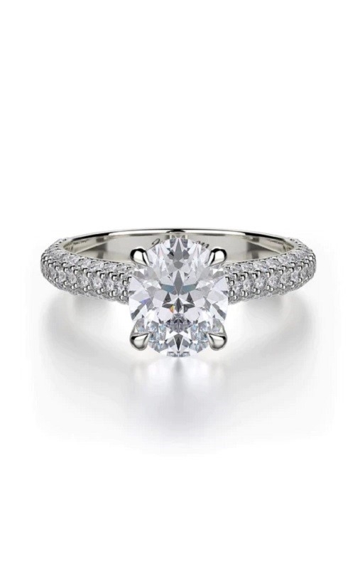 Michael M Ring  R808-2.5