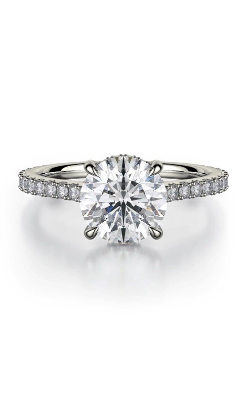 Michael M Ring  R749-1.5