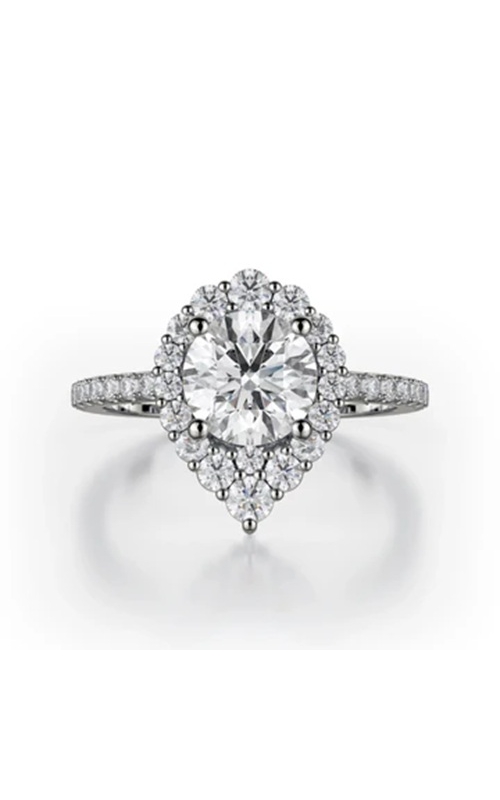 Michael M Ring  R785-2